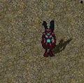 Caos imp.jpg